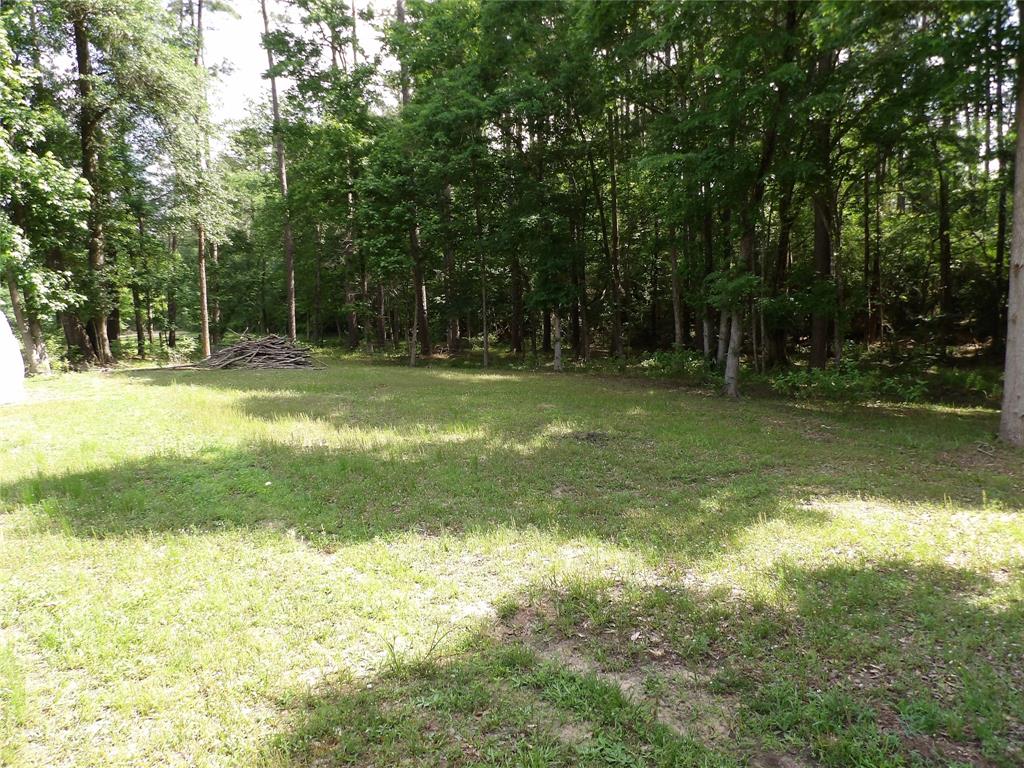 320 Boys Camp Rd Road, New Waverly, Texas image 7