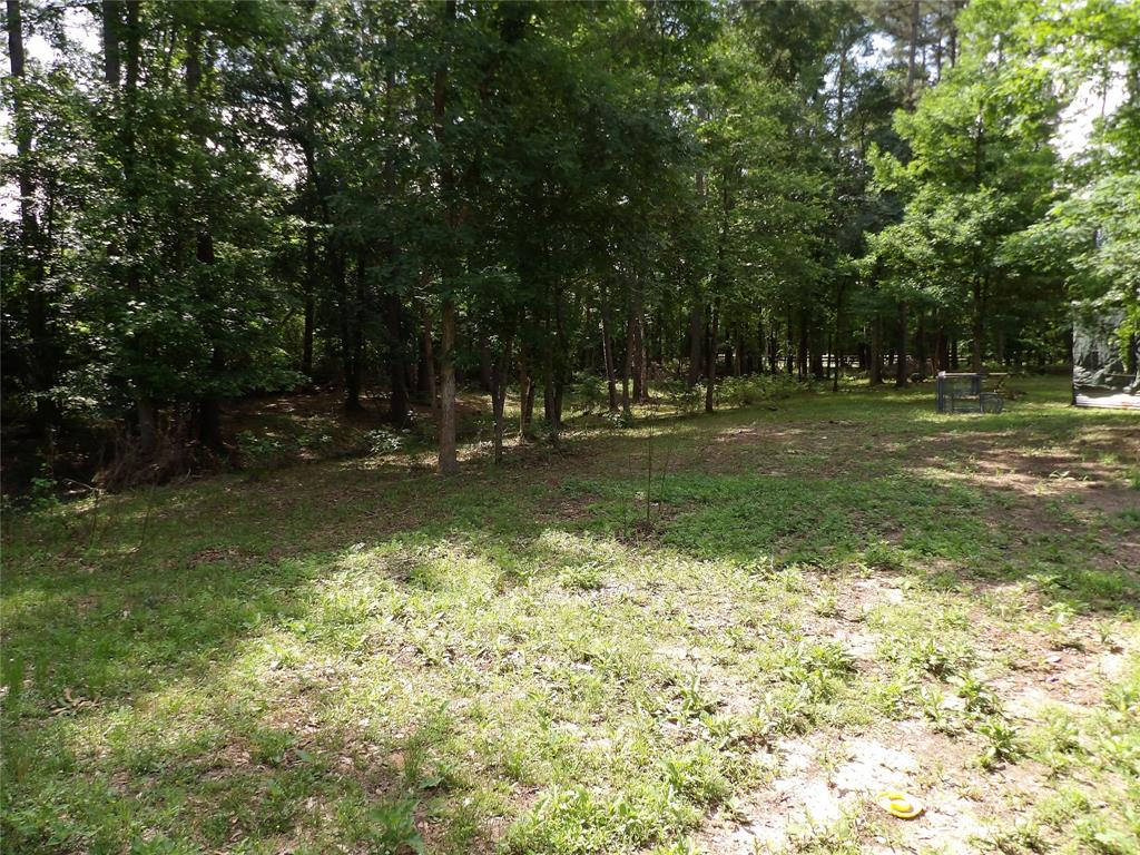 320 Boys Camp Rd Road, New Waverly, Texas image 36