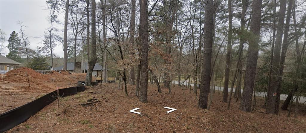 1889 Rollingwood Drive, Huntsville, Texas image 2