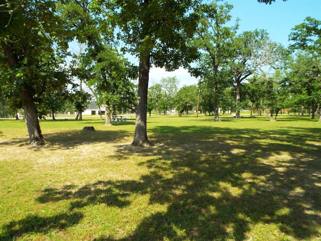 Lots 18-21 N Council Drive, Hempstead, Texas image 18