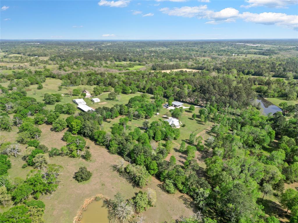 7615 Willys Road, New Waverly, Texas image 38