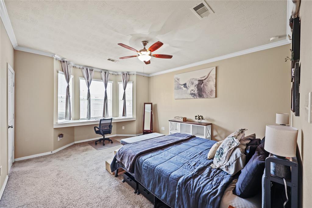 13112 Southern Valley Drive, Pearland, Texas image 16