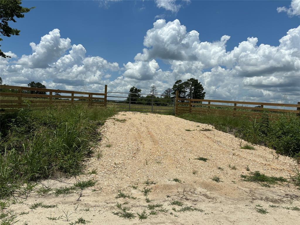 15745 County Road 228, Bedias, Texas image 14