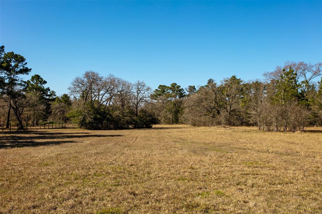 15745 County Road 228, Bedias, Texas image 20