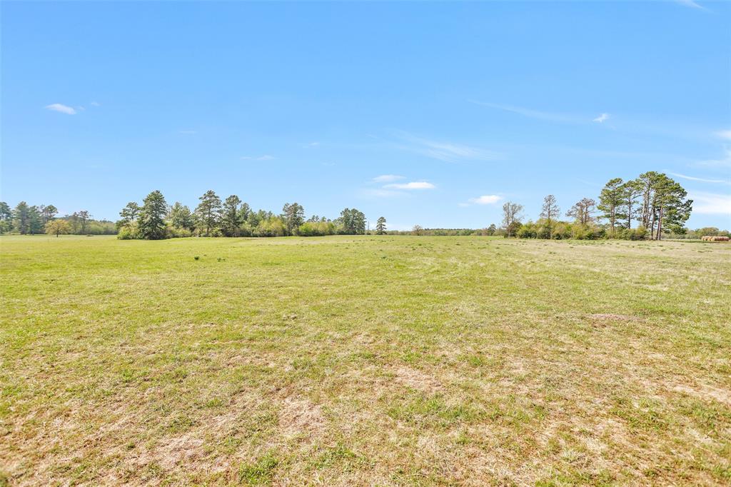 15745 County Road 228, Bedias, Texas image 3