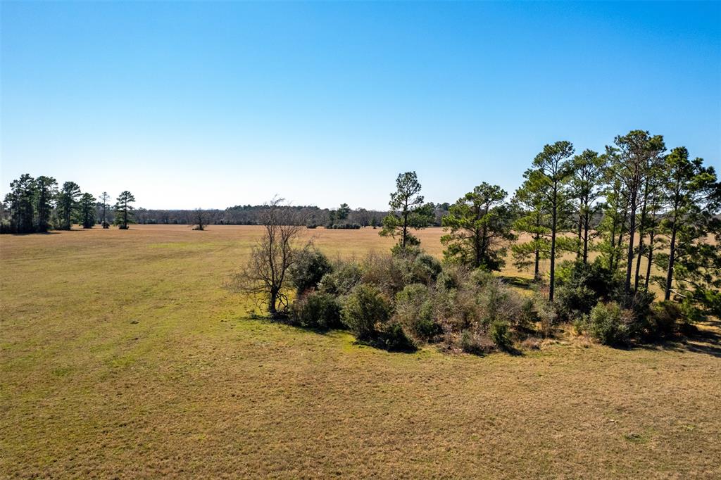 15745 County Road 228, Bedias, Texas image 17