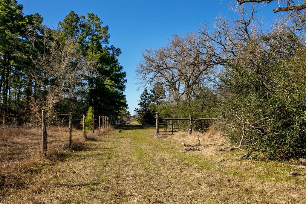 15745 County Road 228, Bedias, Texas image 18