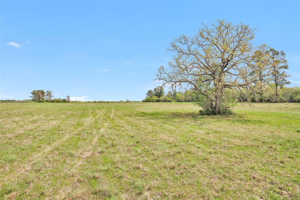 15745 County Road 228, Bedias, Texas image 12