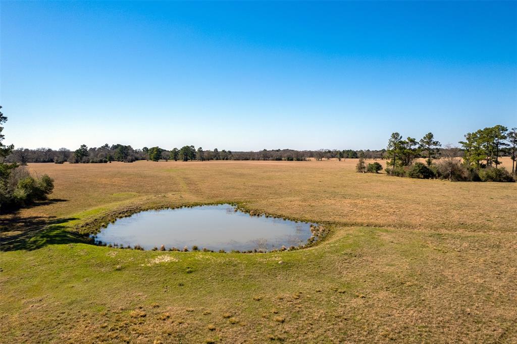 15745 County Road 228, Bedias, Texas image 16