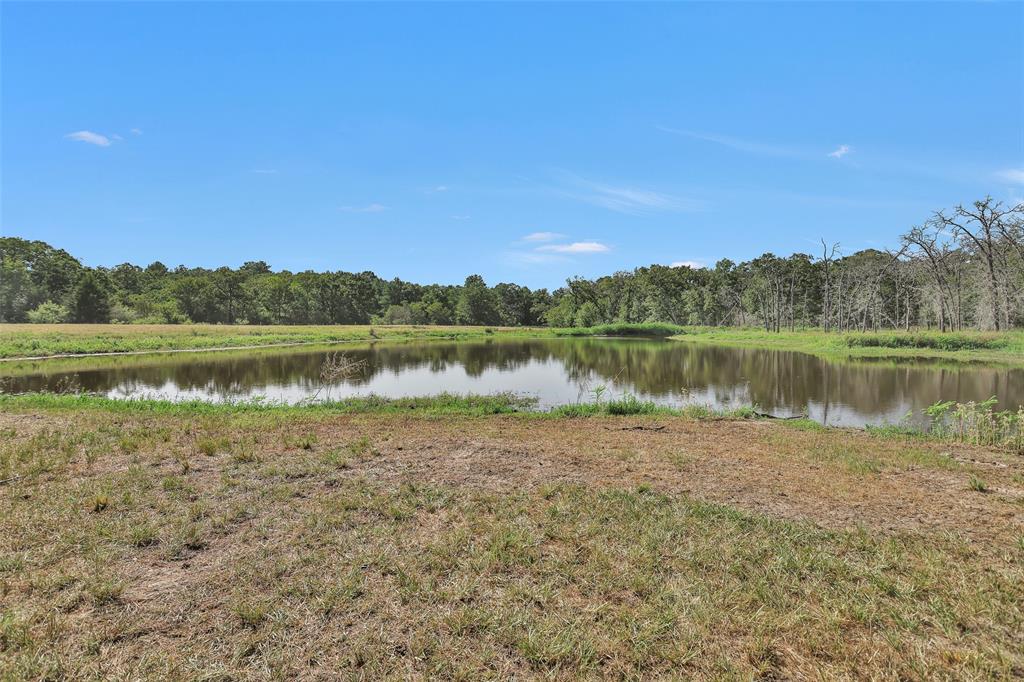 15745 County Road 228, Bedias, Texas image 13