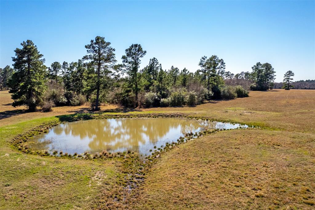 15745 County Road 228, Bedias, Texas image 15