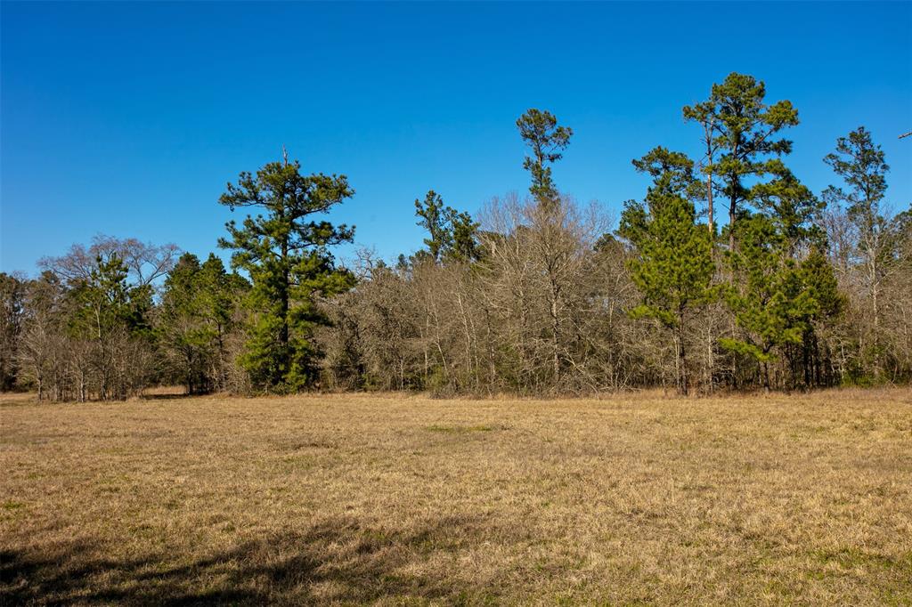 15745 County Road 228, Bedias, Texas image 19