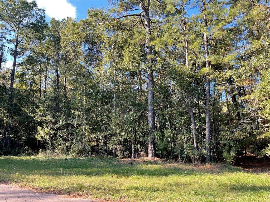 00 Birch Ln, Cleveland, Texas image 3