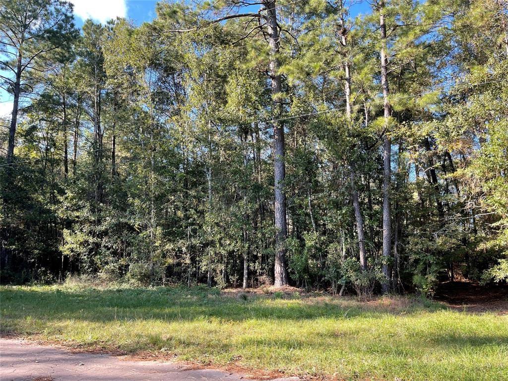 00 Birch Ln, Cleveland, Texas image 4