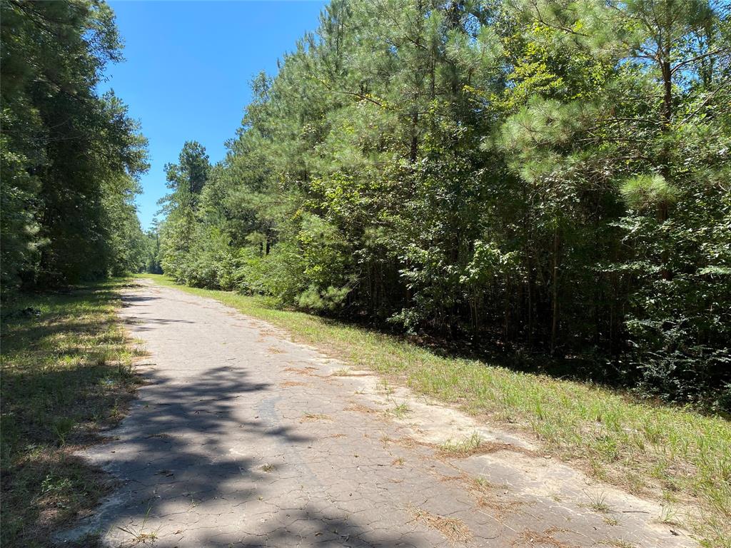 00 Birch Ln, Cleveland, Texas image 1