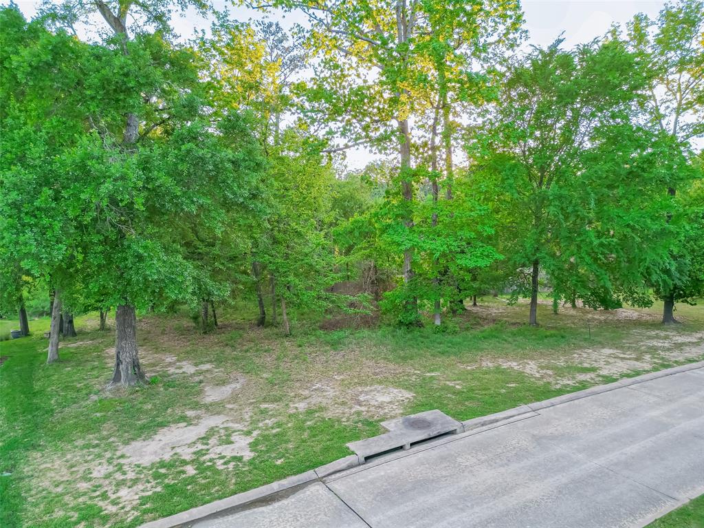 4833 W Fork Boulevard, Conroe, Texas image 1