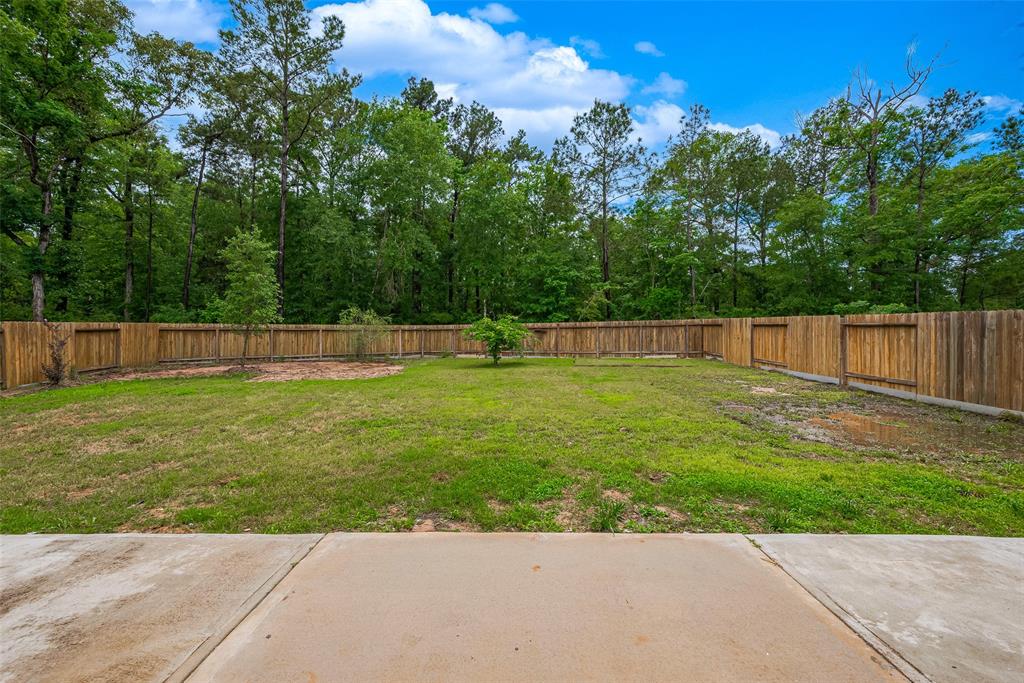 10554 Sweetwater Creek Drive, Cleveland, Texas image 48
