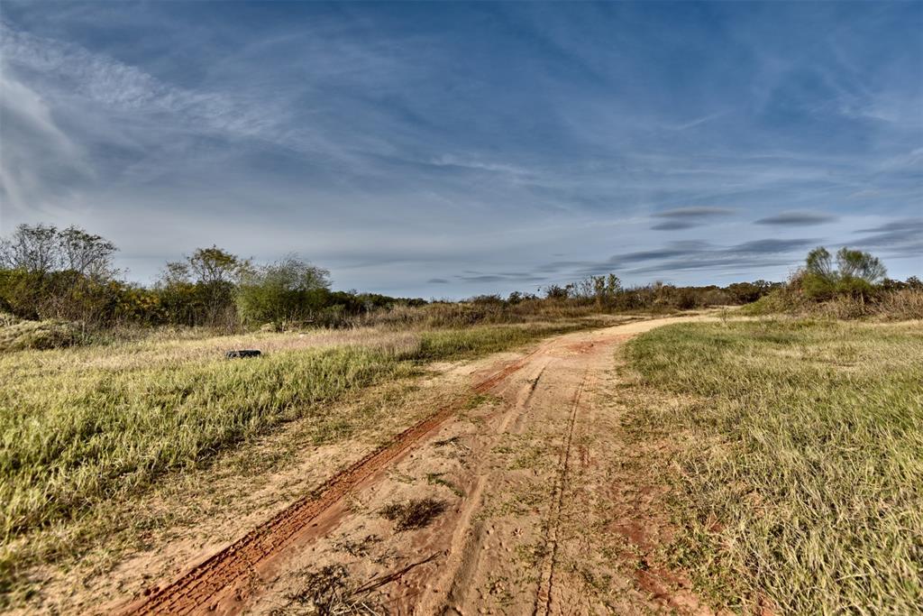 TBD (26 Acres) County Road 445, Lincoln, Texas image 4