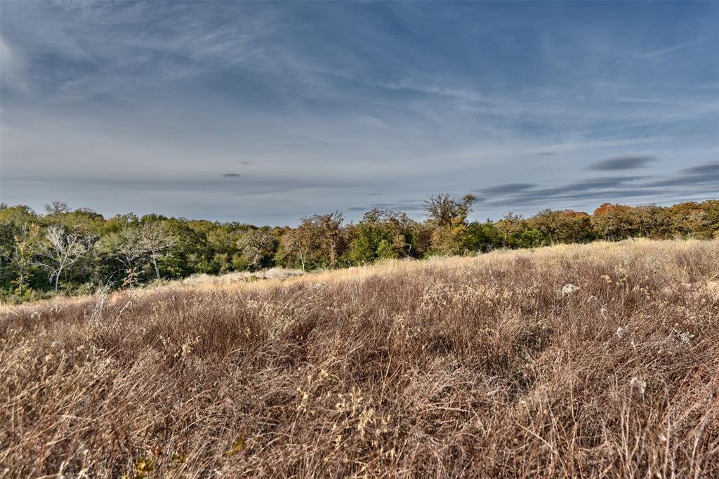 TBD (26 Acres) County Road 445, Lincoln, Texas image 11