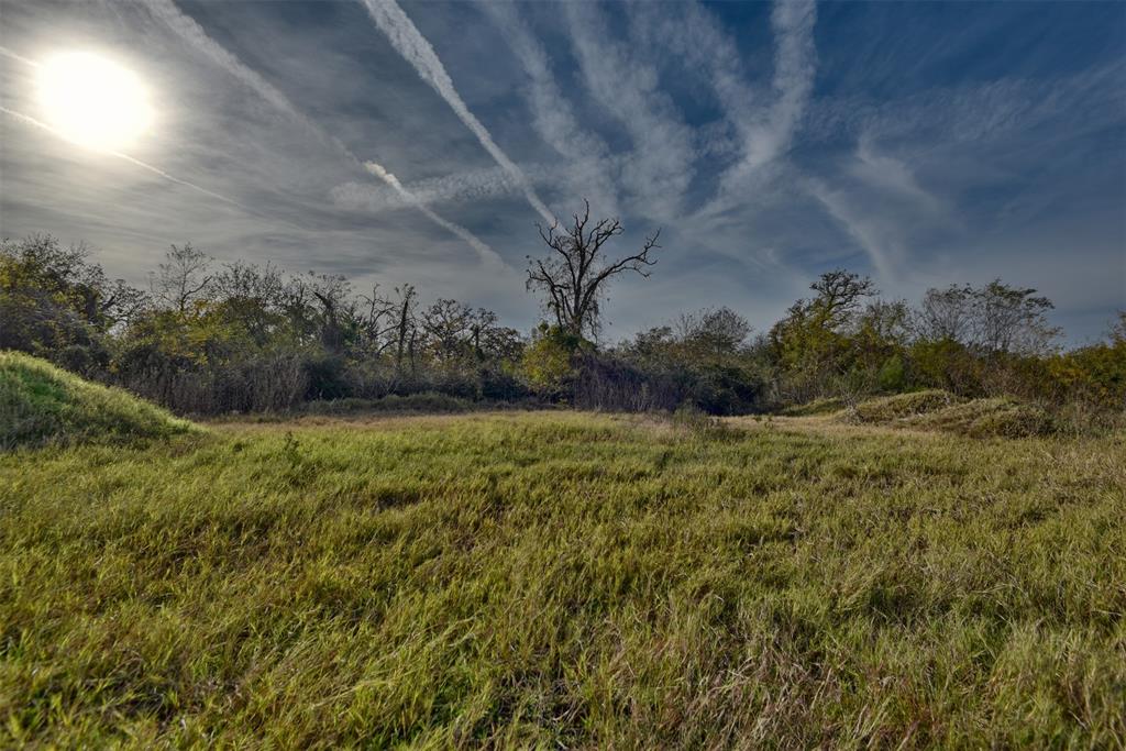 TBD (26 Acres) County Road 445, Lincoln, Texas image 10