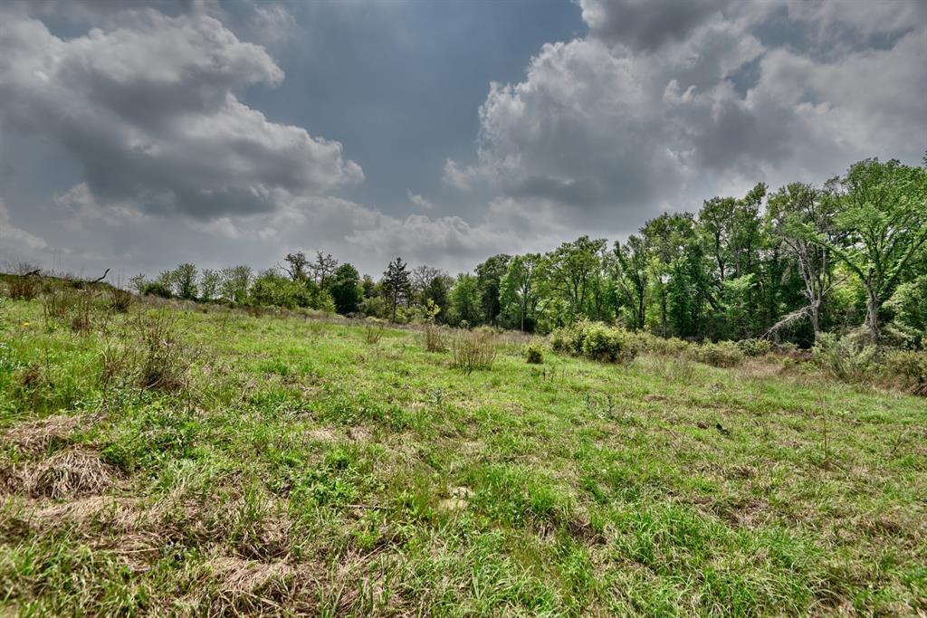 TBD (26 Acres) County Road 445, Lincoln, Texas image 23