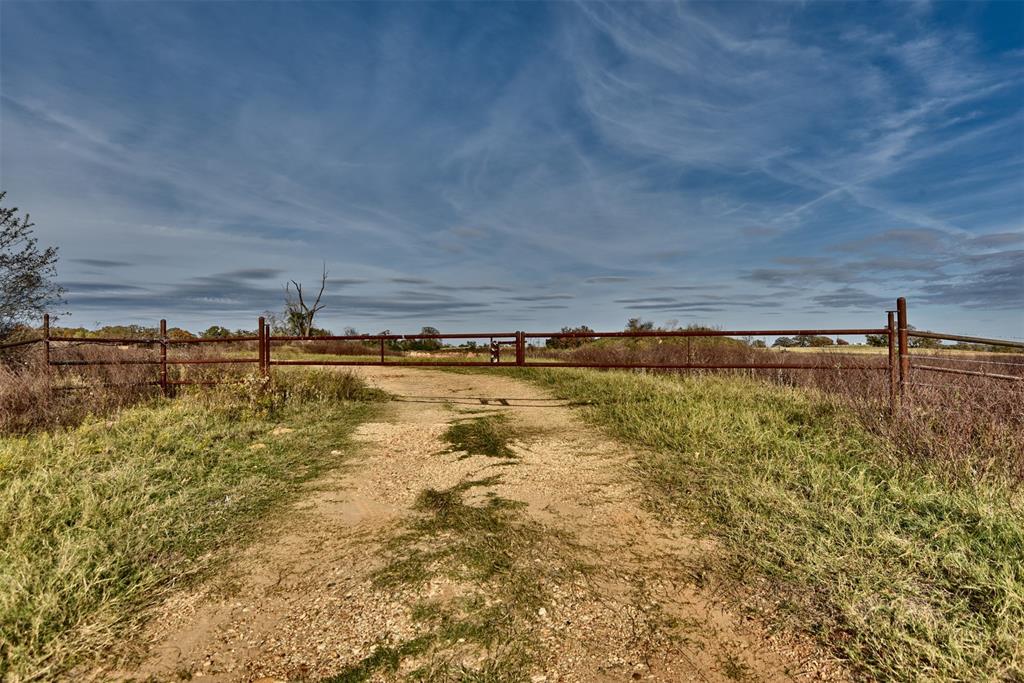 TBD (26 Acres) County Road 445, Lincoln, Texas image 3