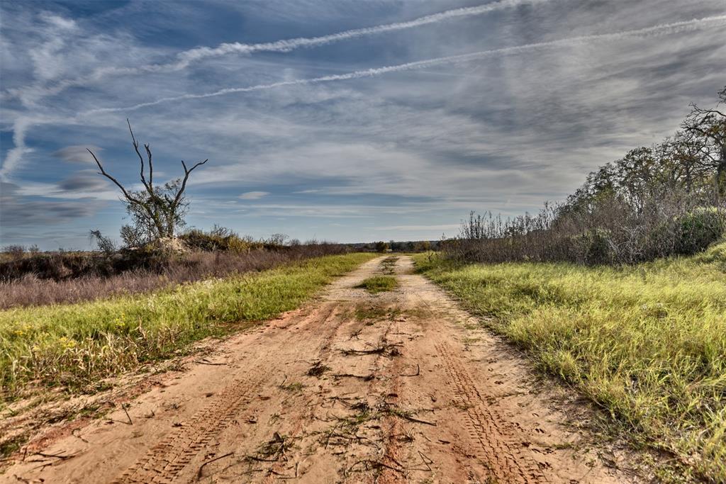 TBD (26 Acres) County Road 445, Lincoln, Texas image 9