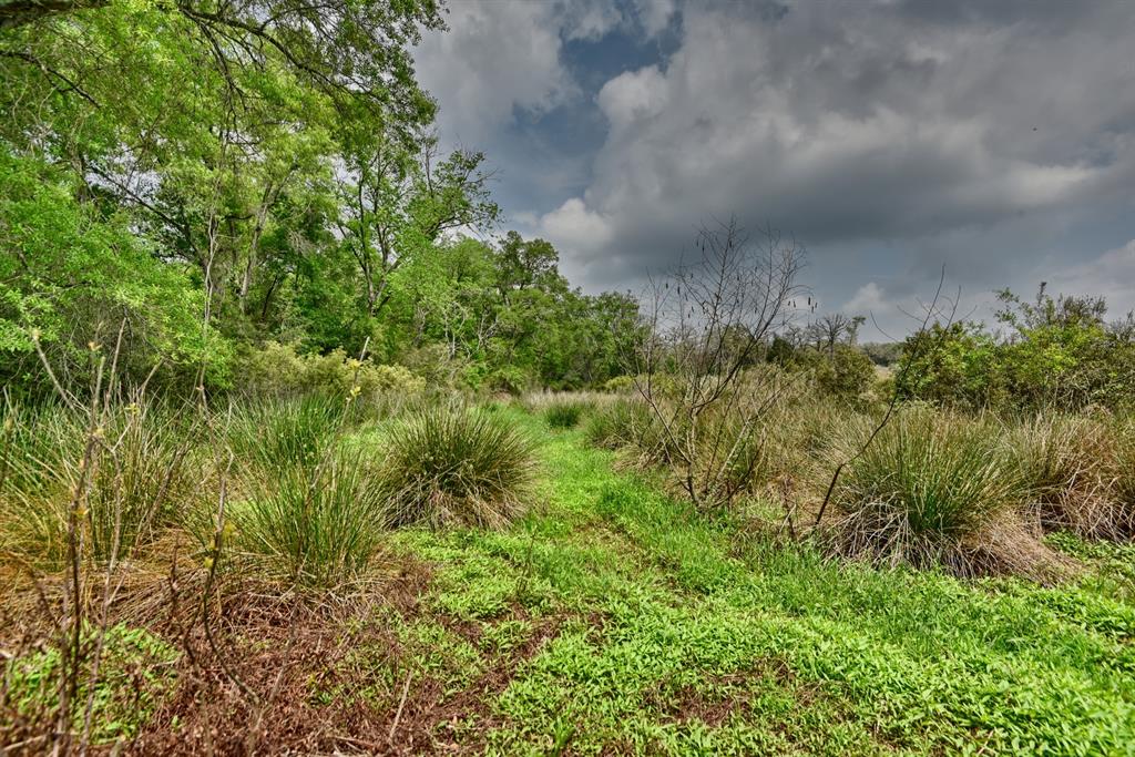 TBD (26 Acres) County Road 445, Lincoln, Texas image 27