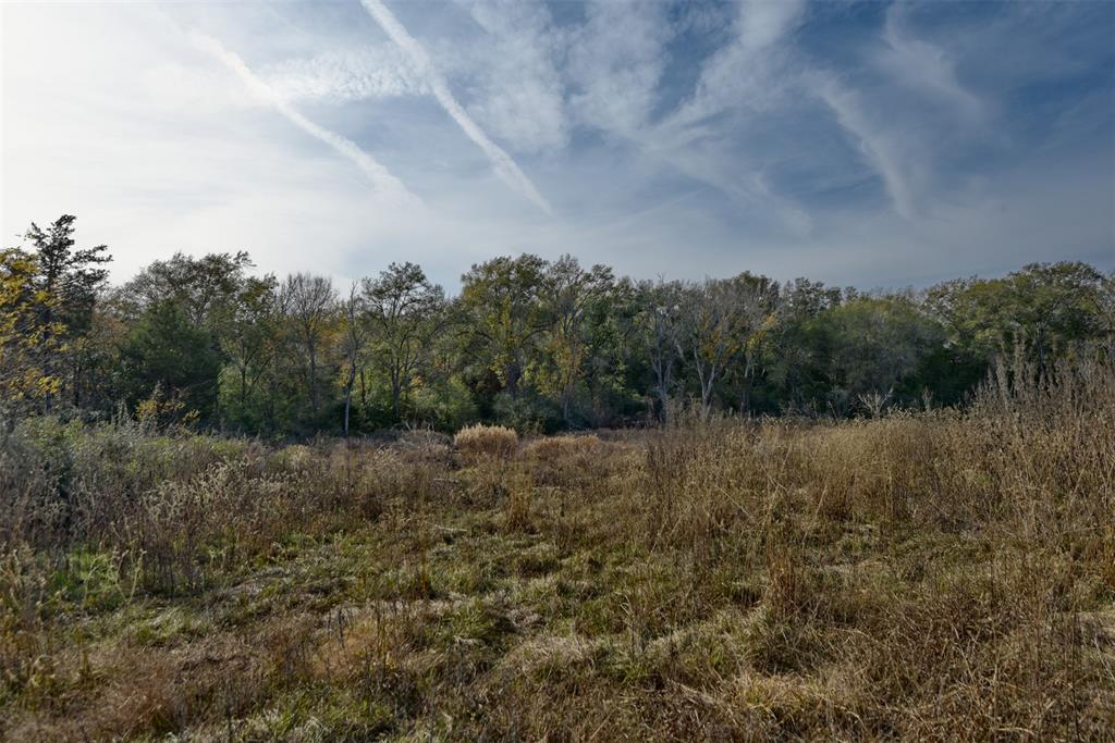 TBD (26 Acres) County Road 445, Lincoln, Texas image 12