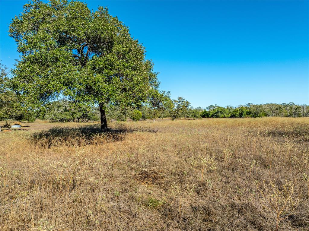 000 Sandy Lane, Fayetteville, Texas image 12