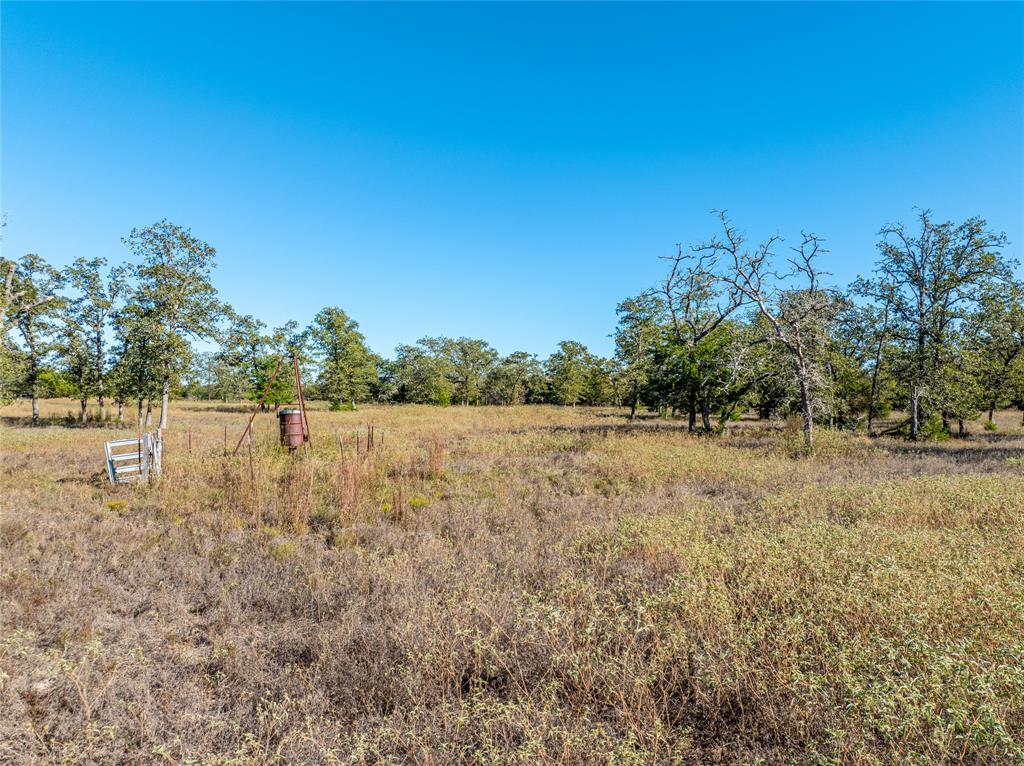 000 Sandy Lane, Fayetteville, Texas image 11