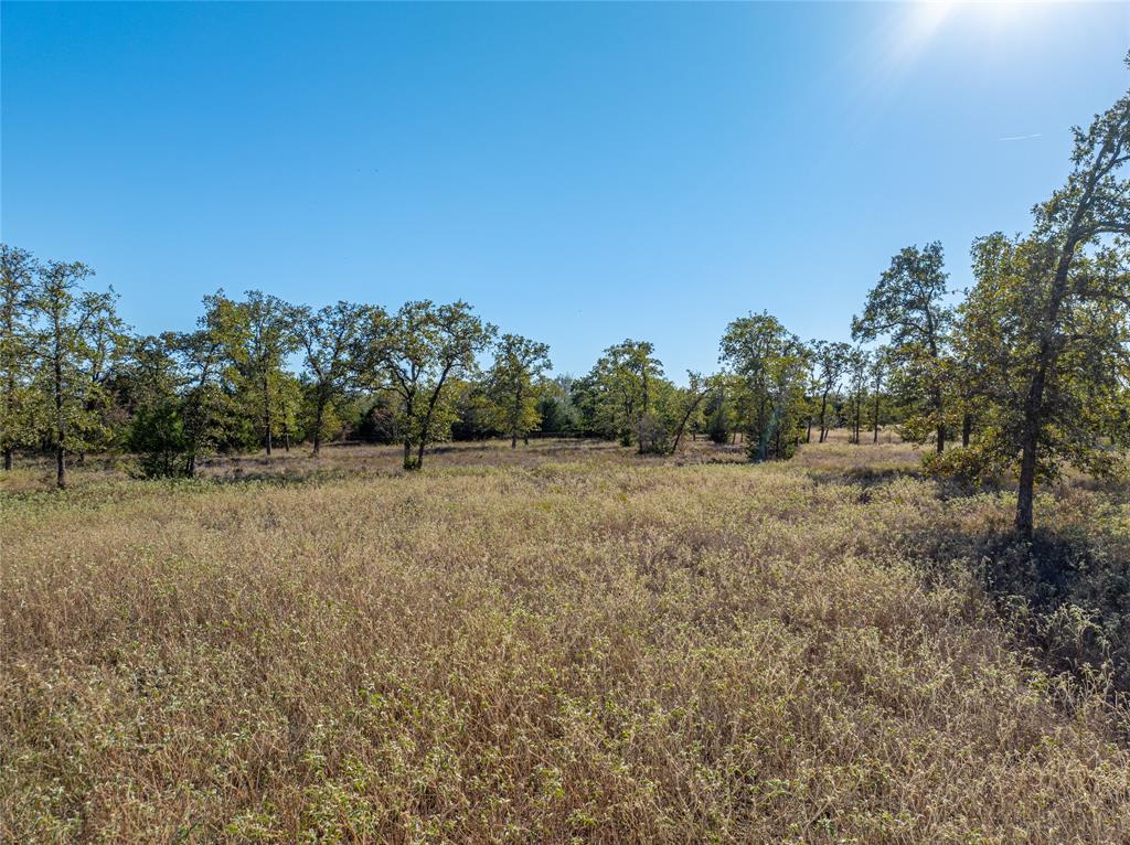 000 Sandy Lane, Fayetteville, Texas image 10