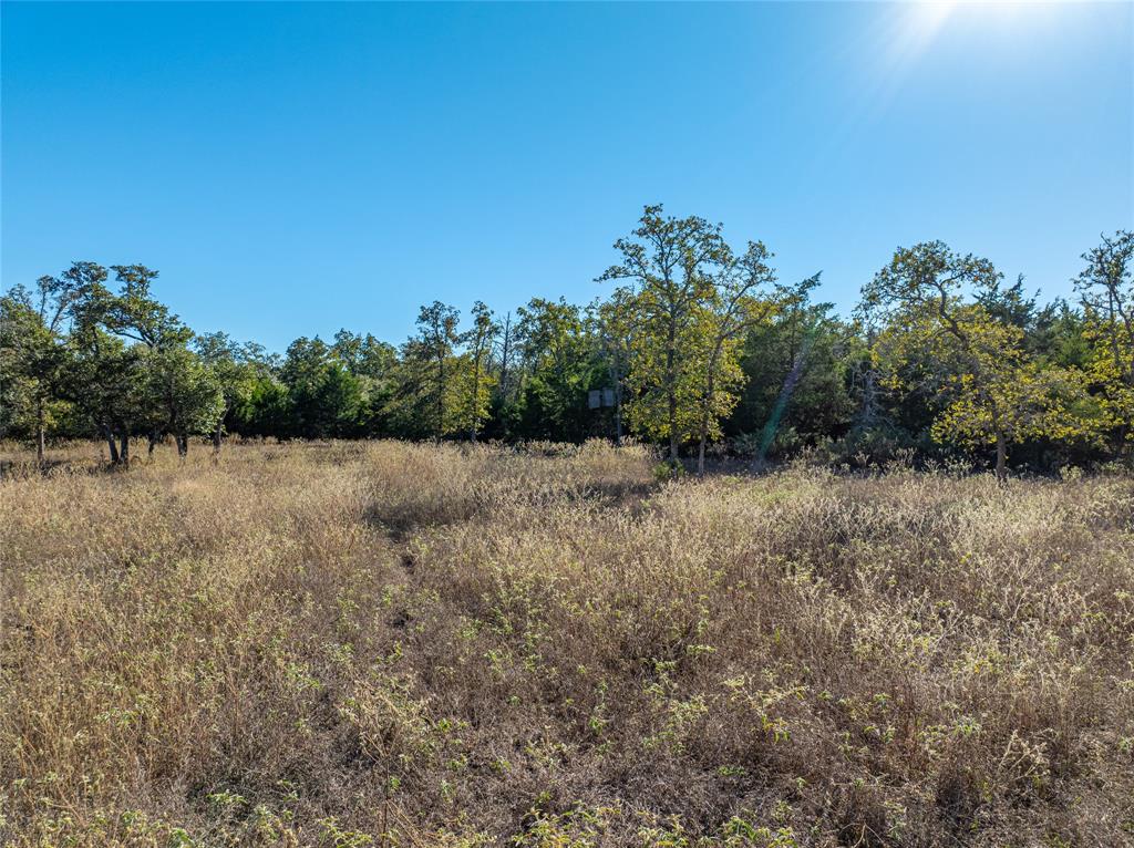 000 Sandy Lane, Fayetteville, Texas image 13