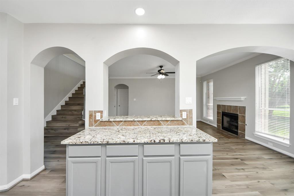 4027 Dogwood Bough Lane, Fresno, Texas image 19
