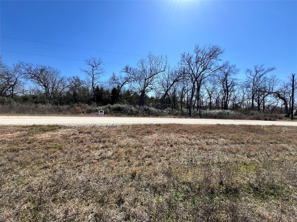 Lot 31 Cr 389, Jewett, Texas image 3