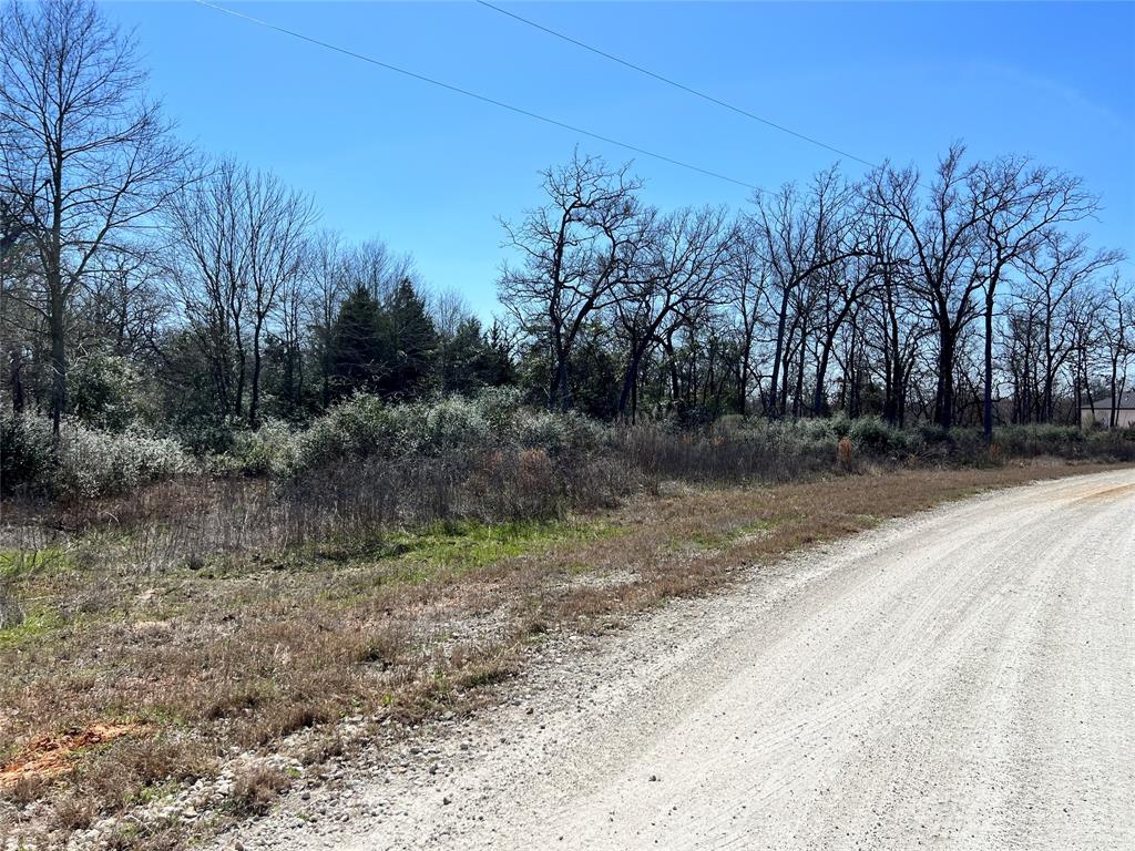 Lot 31 Cr 389, Jewett, Texas image 6