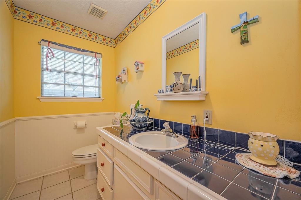 26003 Fountaine Bleau Drive, Tomball, Texas image 17