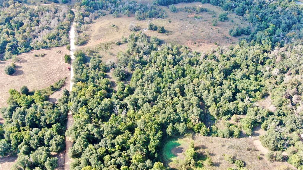 402 Professor Smith Rd, Gause, Texas image 3