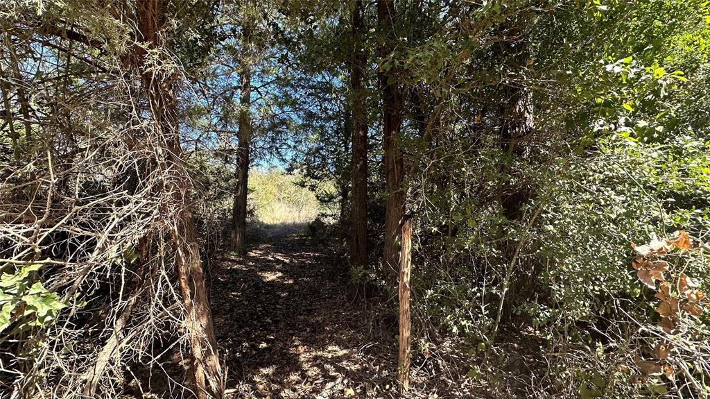 402 Professor Smith Rd, Gause, Texas image 8