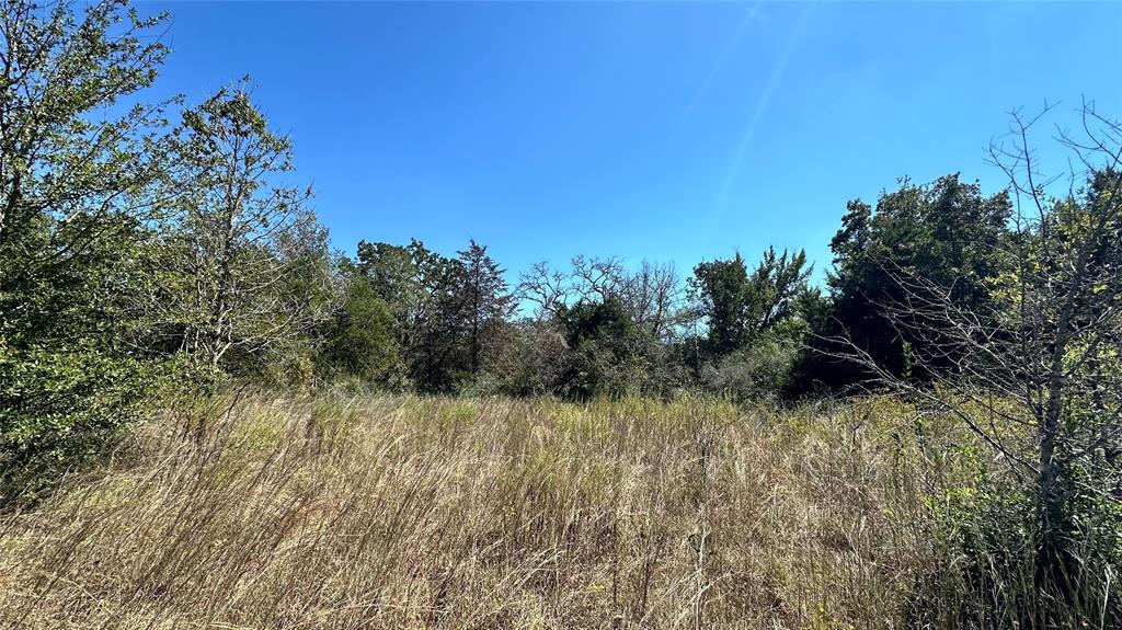 402 Professor Smith Rd, Gause, Texas image 1