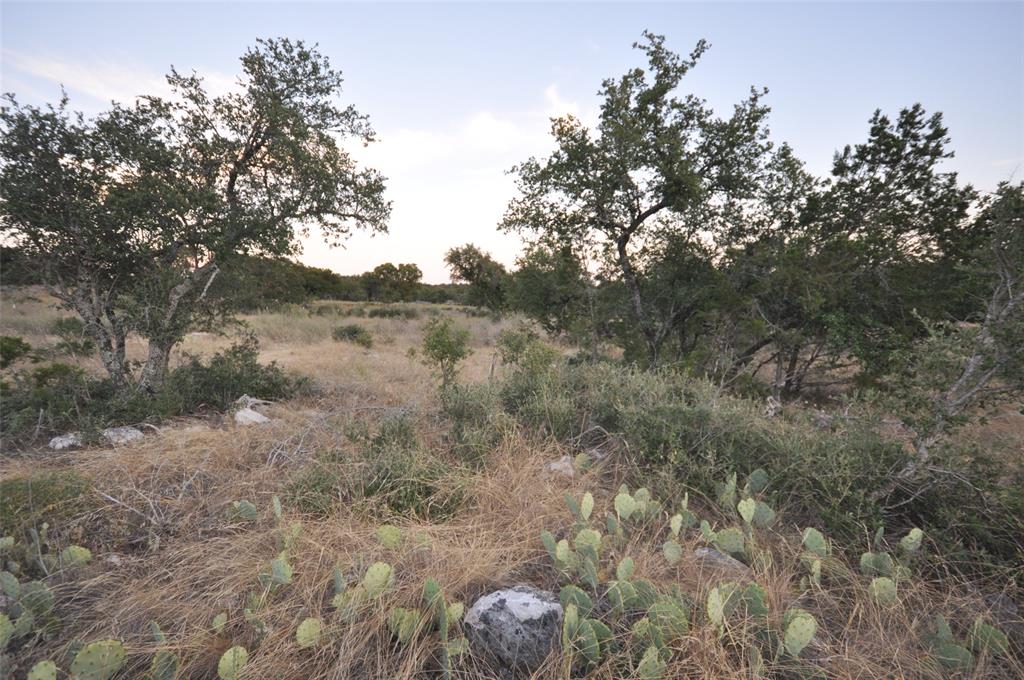 Lot 11 Crown Lane, Burnet, Texas image 16