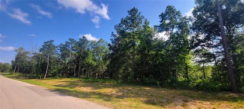 Vacant Land For Sale - 1030 County Road 6325<br/> Dayton, TX 77535