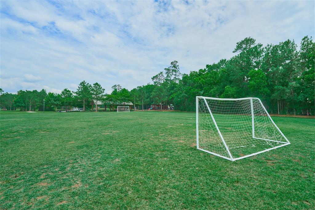 38 S Pinto Point Circle, The Woodlands, Texas image 44