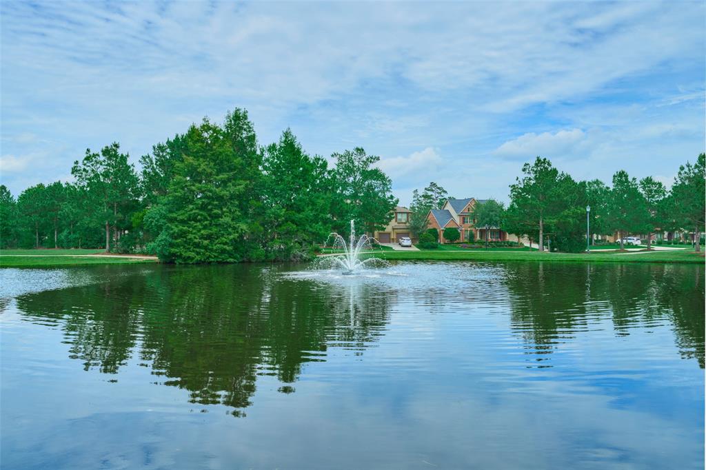 38 S Pinto Point Circle, The Woodlands, Texas image 48