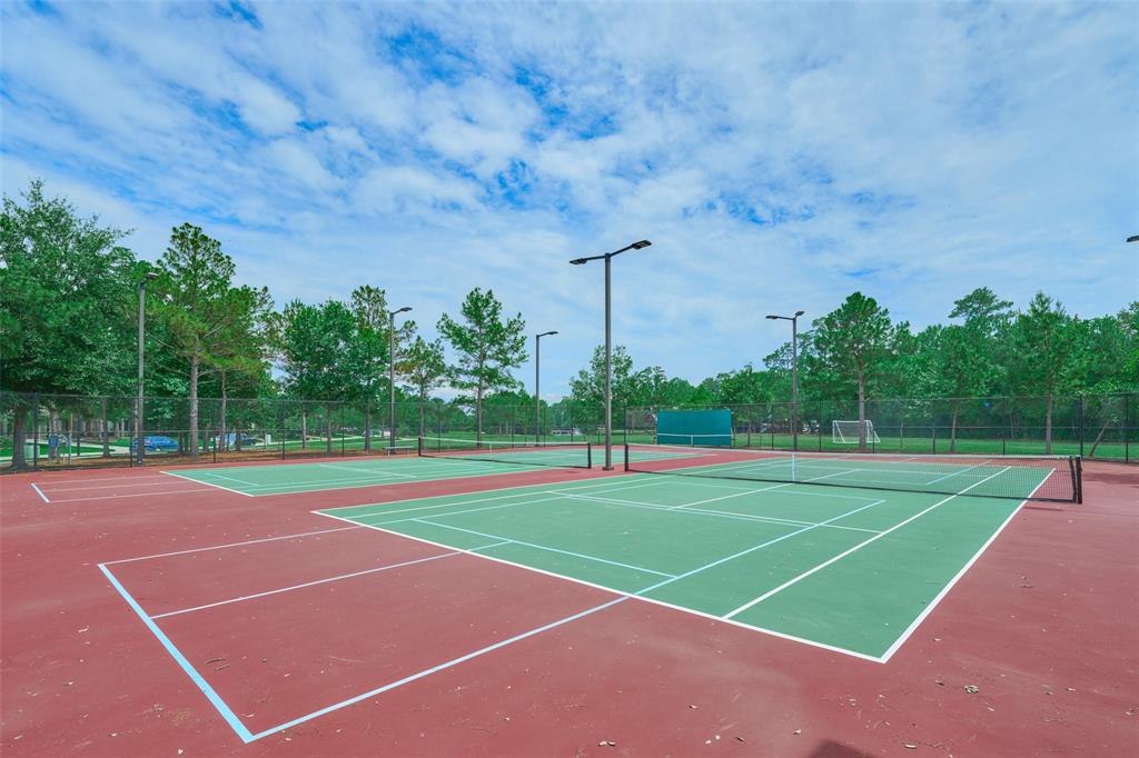 38 S Pinto Point Circle, The Woodlands, Texas image 45