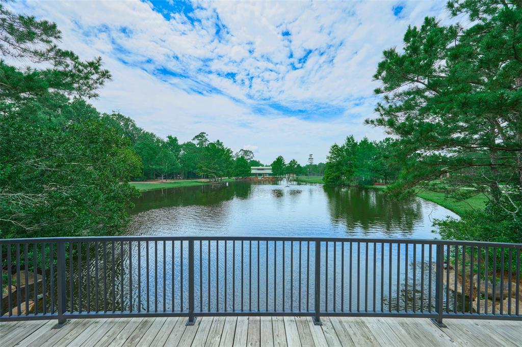 38 S Pinto Point Circle, The Woodlands, Texas image 47