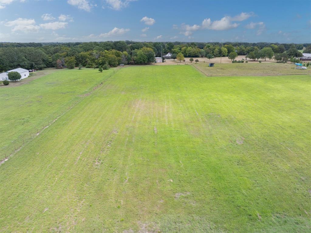 3 +/- Acres Vz County Road 1109, Grand Saline, Texas image 4