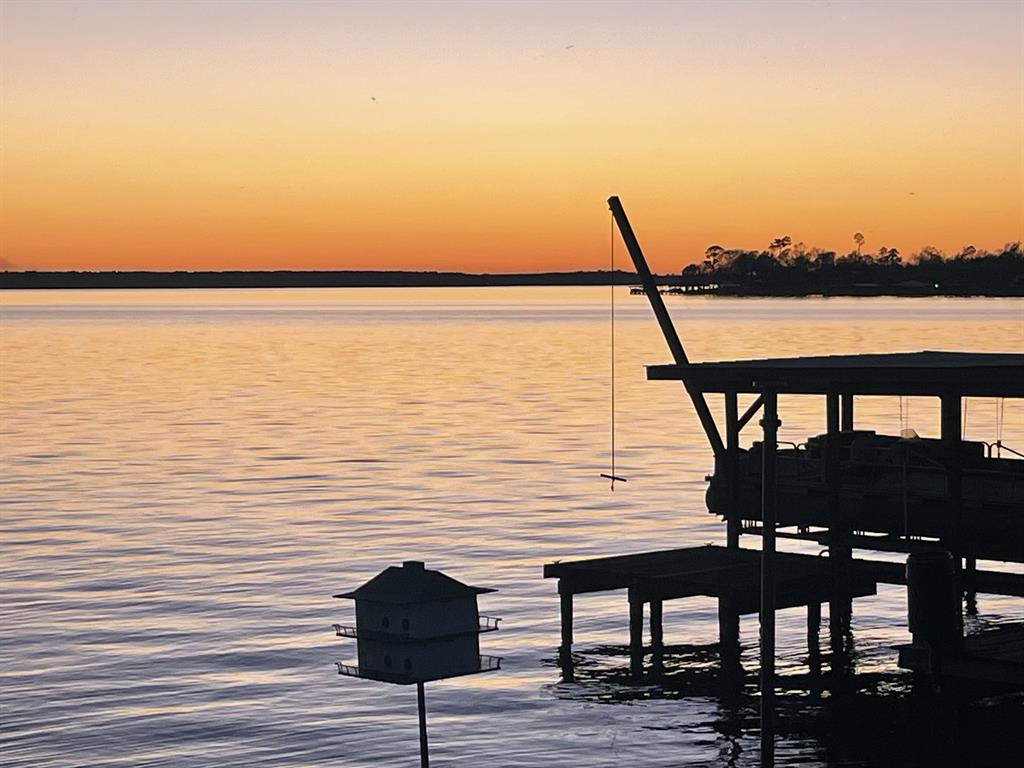 308 Lakeshore Shr, Onalaska, Texas image 42