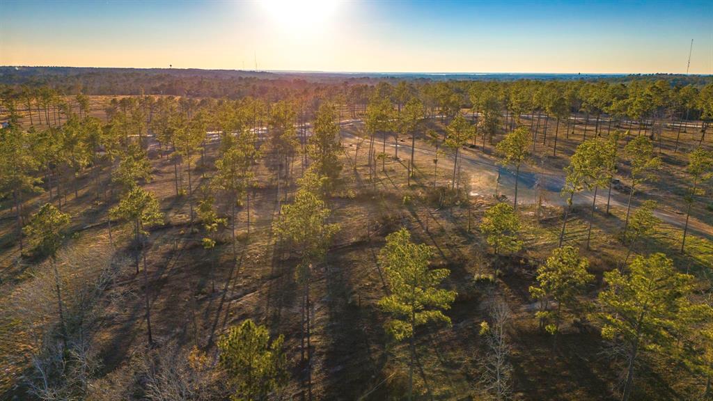 070 Western, Livingston, Texas image 7