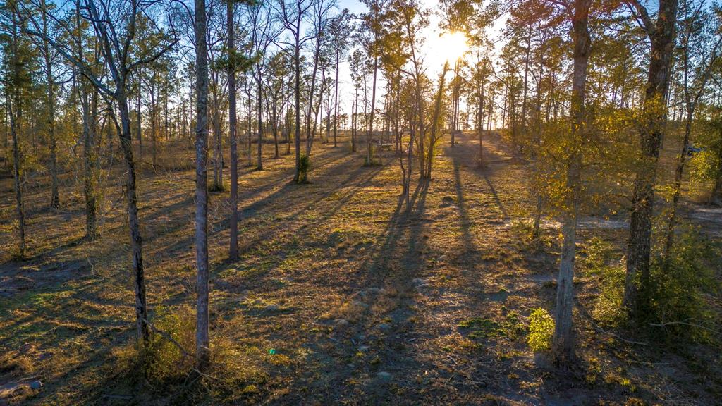 070 Western, Livingston, Texas image 3